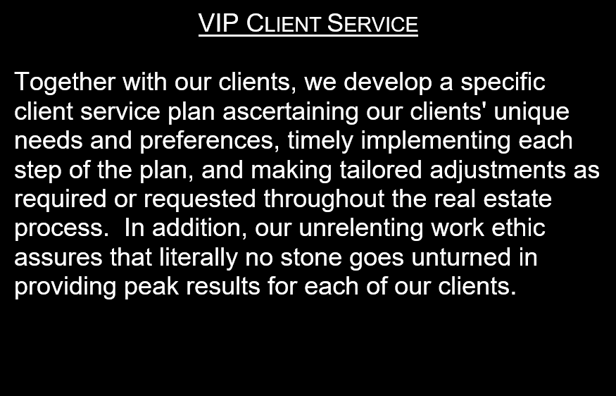 Website - VIP Client Service